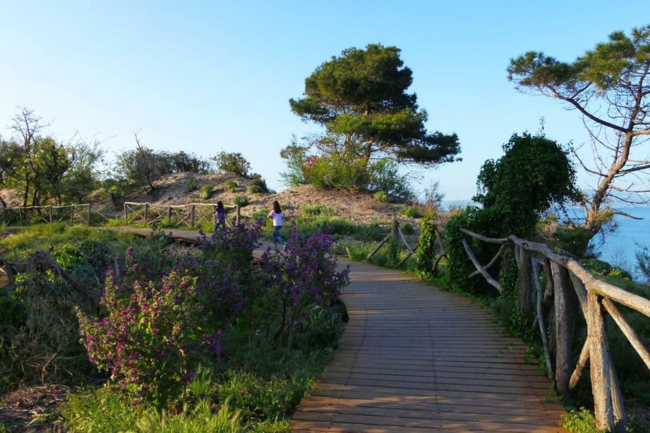 Apartmán Loft A Sant Marti D'Empuries Exteriér fotografie